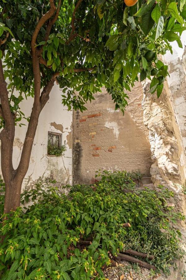 La Casa De Los Arcos - Casco Historico - Parking Opcional جيريز المظهر الخارجي الصورة